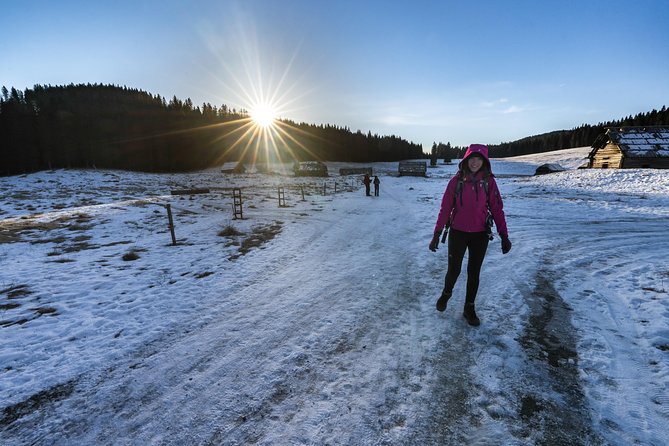 Winter Hike in Julian Alps - Crossing the tree line toward the summit